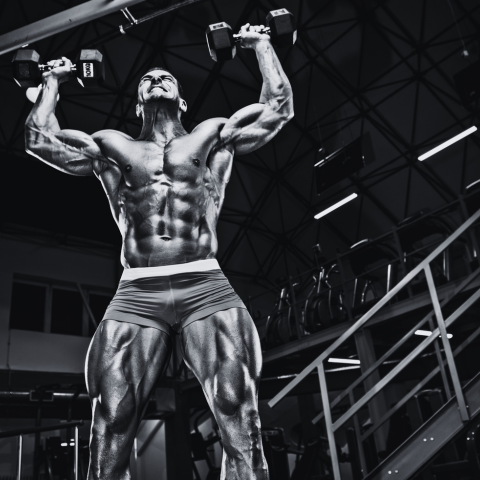 body building padova a padova top team